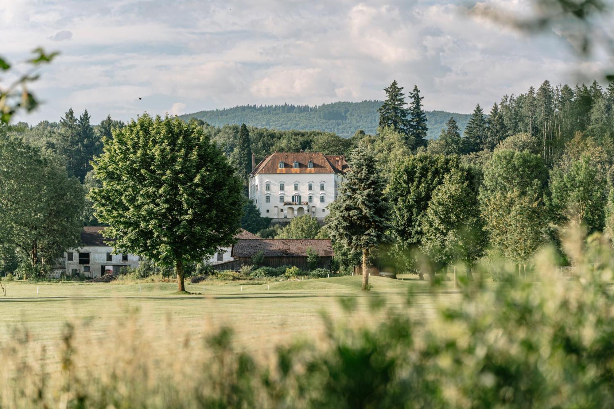 Schloss Ernegg 3* Steinakirchen Am Forst